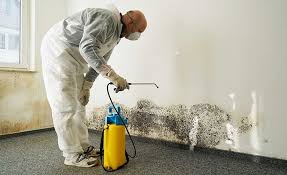 Best Biohazard Mold Removal  in Wappingers Falls, NY