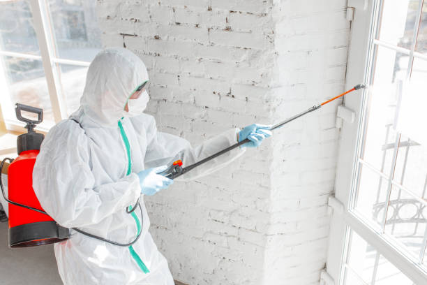 Best Asbestos and Lead Testing During Mold Inspection  in Wappingers Falls, NY